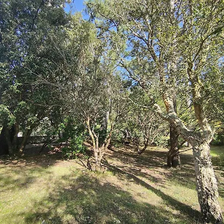 Avec Jardin Proche Des Plages, Accueillant 6 Personnes - Fr-1-736-56