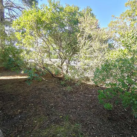 Avec Jardin Clos à Lège-cap-ferret, 3 Chambres, Proche Plages - Fr-1-736-56