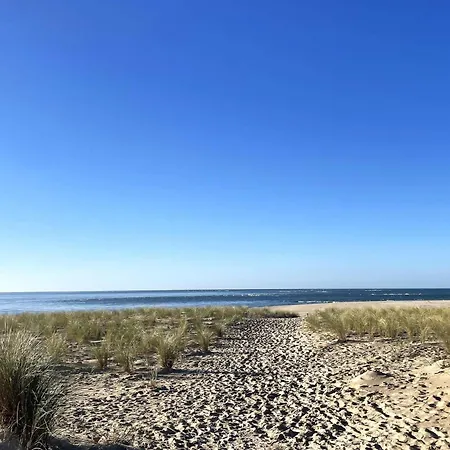 Avec Jardin Clos à Lège-cap-ferret, 3 Chambres, Proche Plages - Fr-1-736-56 Villa *