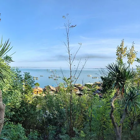 Avec Jardin Clos à Lège-cap-ferret, 3 Chambres, Proche Plages - Fr-1-736-56 Villa