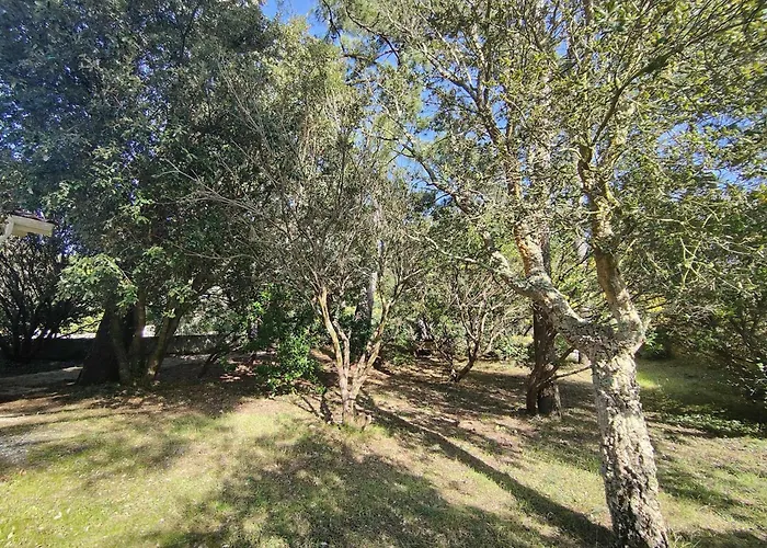 Avec Jardin Clos A Lege-cap-ferret, 3 Chambres, Proche Plages - Fr-1-736-56